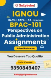 Perspectives on Public Administration