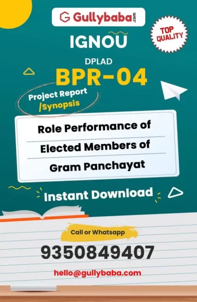 BPR-04-Role-Performance-of-Elected-Members