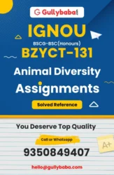 Animal Diversity