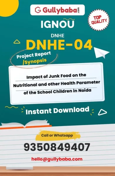 DNHE-04-Impact-of-Junk-Food-on-the-Nutritional