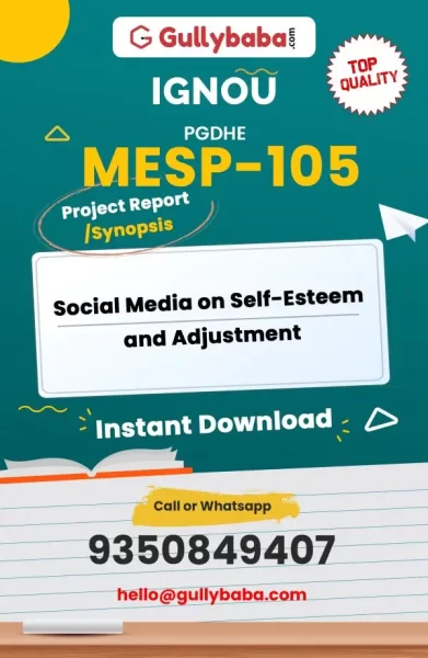 MESP-105-Social-Media-on-Self-Esteem