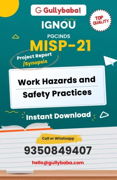 MISP-21-Work-Hazards-and-Safety-Practices