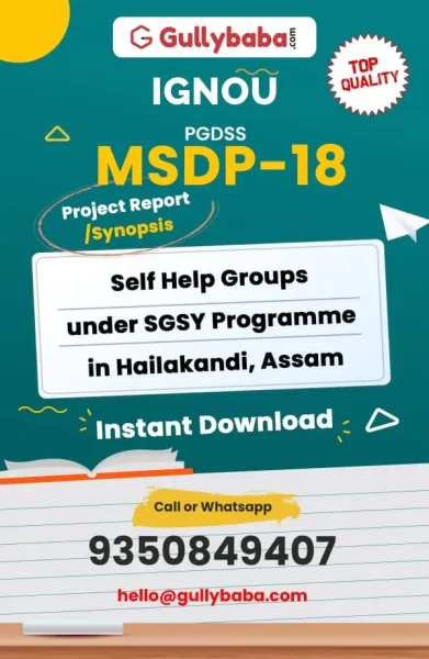 MSDP-18-Self-Help-Groups-under-SGYS-Programme-in-Hailakandi-Assam