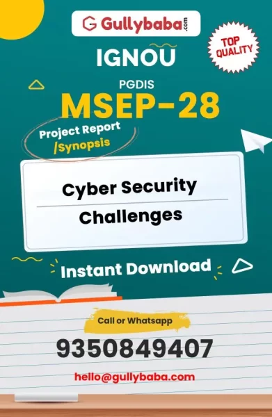 MSEP-28-Cyber-Security-Challenges