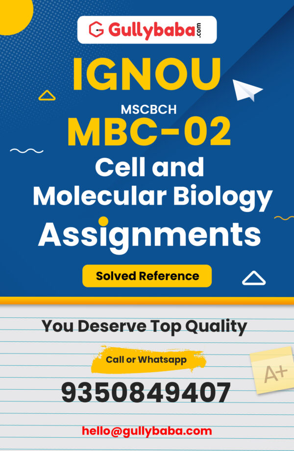 MBC-02 Assignment