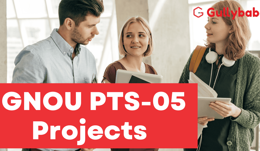 How to make IGNOU PTS-5 Project | BTS (Bachelor of Tourism) — The Key Points