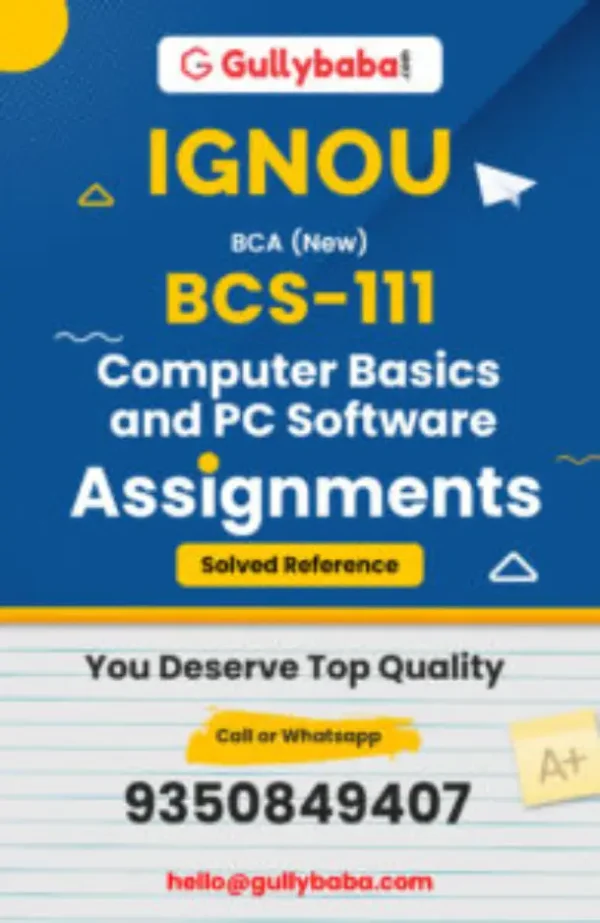 BCS-111 Computer Basics and PC Software