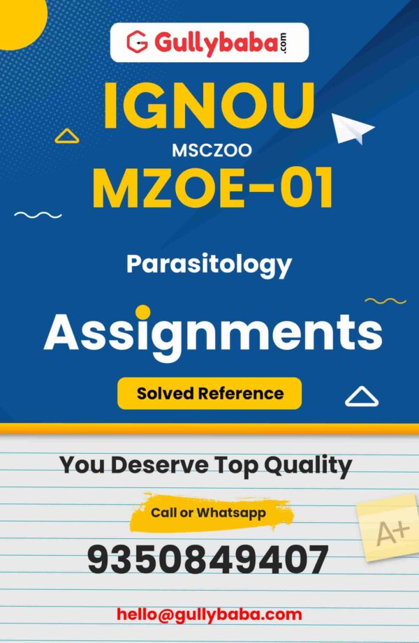 MZOE-01 Assignment