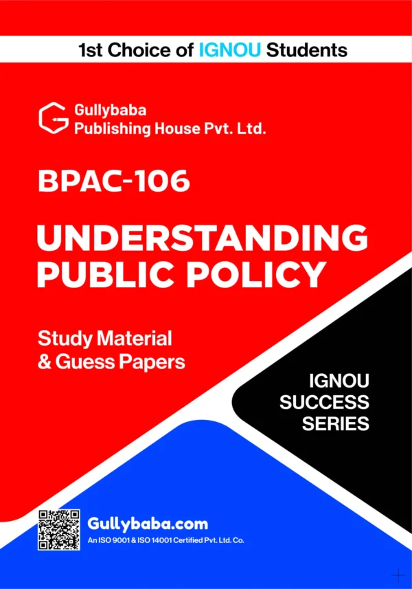 Understanding Public Policy