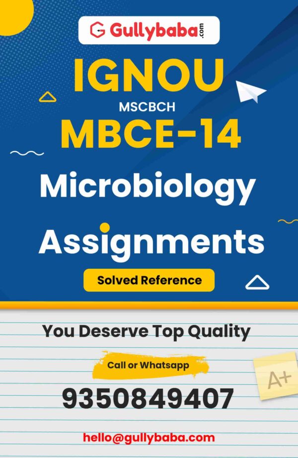 MBCE-14 Assignment