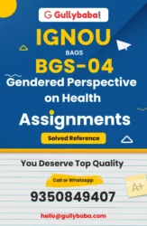 Gendered Perspectives on Health