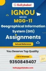 Geographical Information System (GIS)