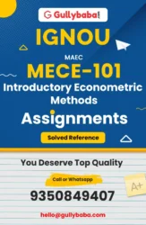 Introductory Econometric Methods