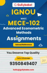 Advanced Econometric Methods